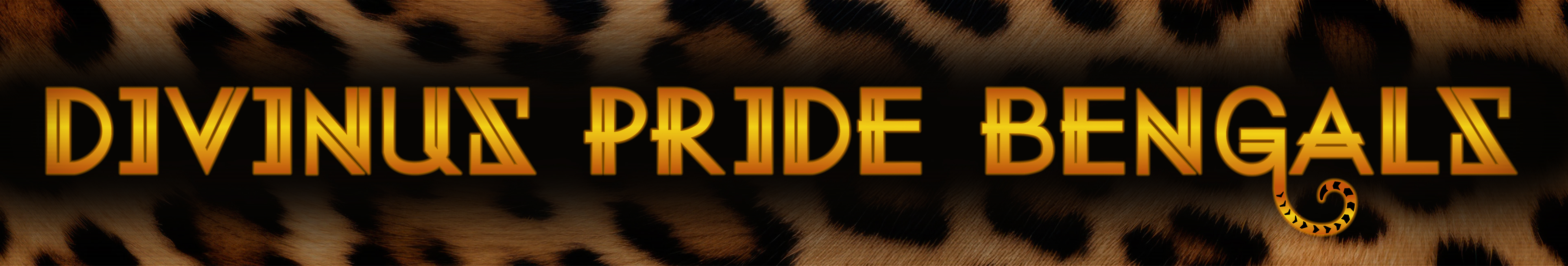 Divinus Pride Bengals